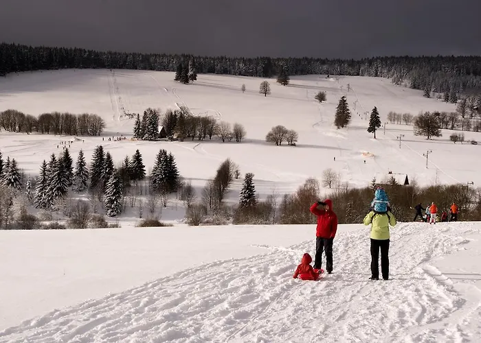 Апартаменты Apartmany Nove Hute Нове-Хуте