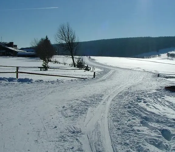 Apartmany Nove Hute Апартаменты *