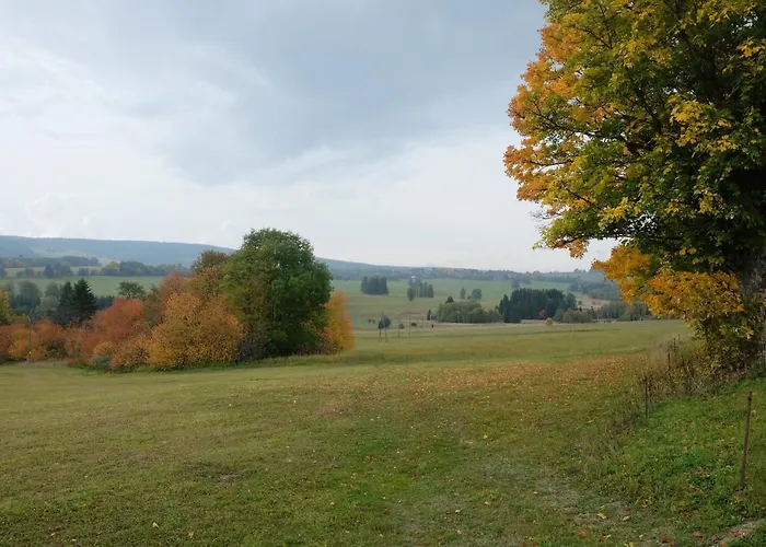 Apartmany Nove Hute Апартаменты